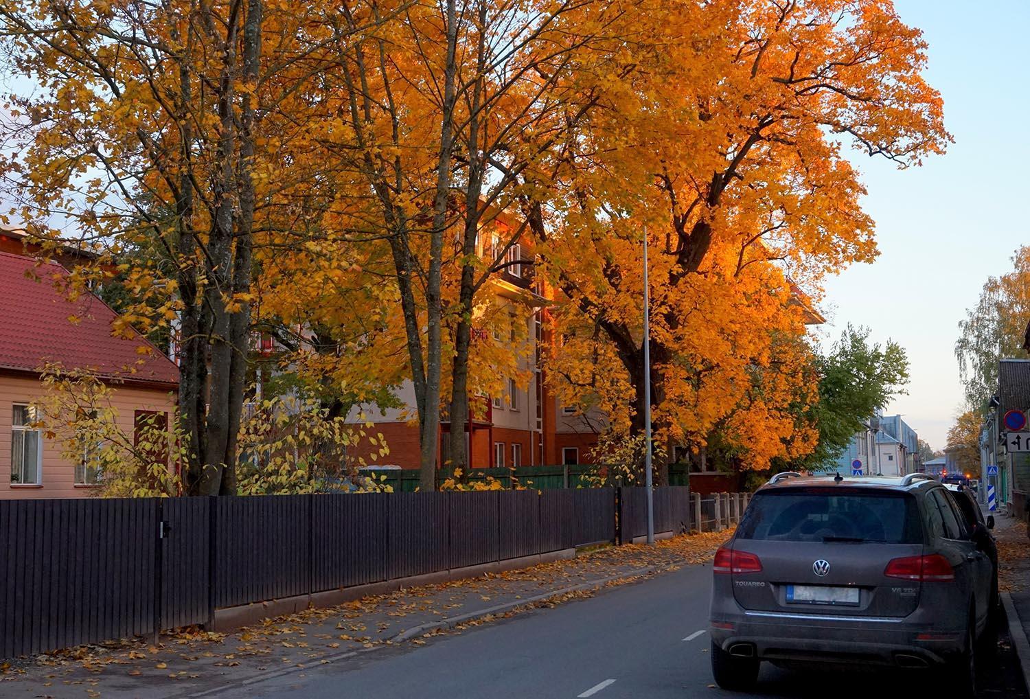 Quiet Romantic Studio Plus Parking, Tartu Home エクステリア 写真