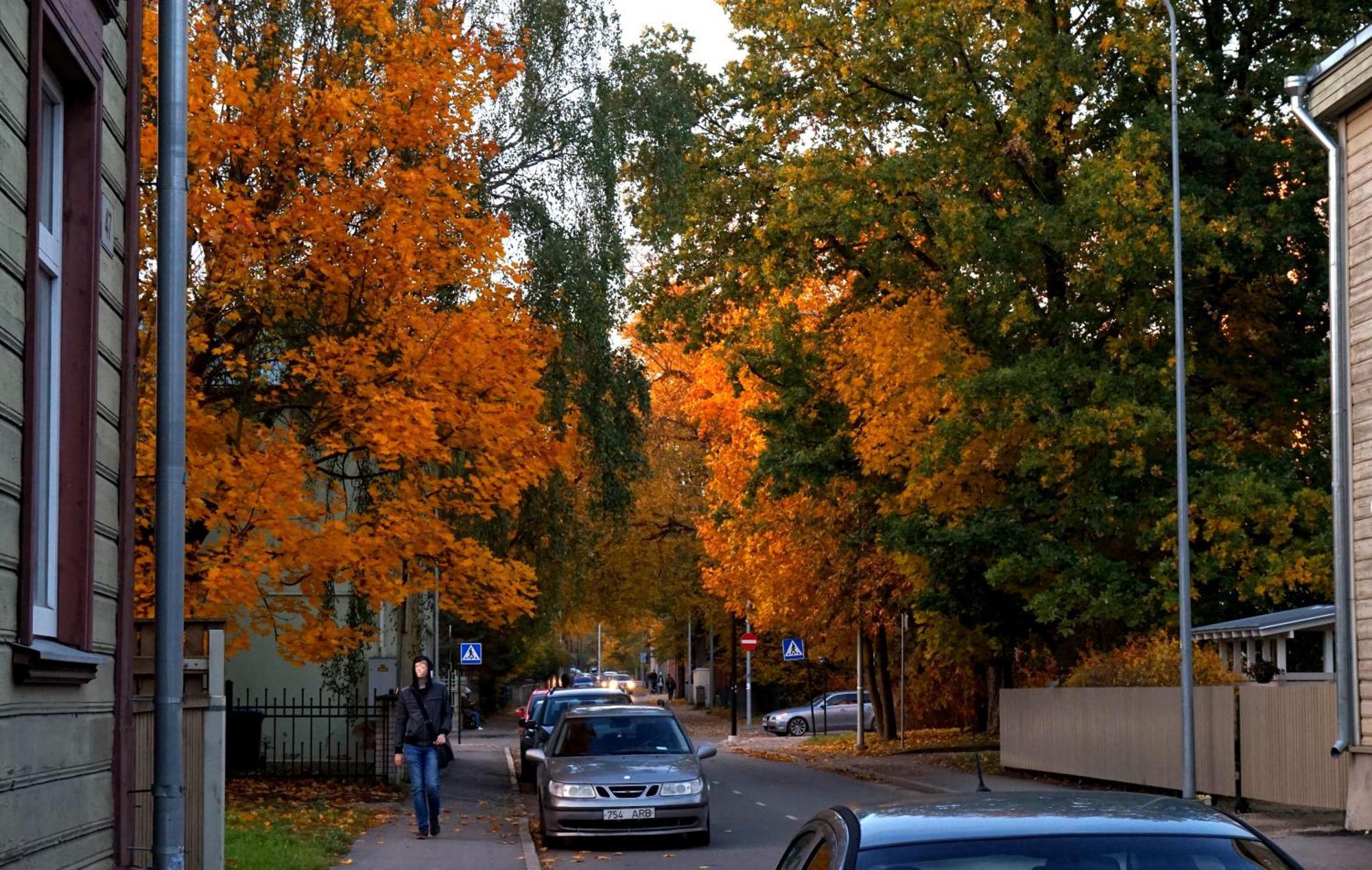 Quiet Romantic Studio Plus Parking, Tartu Home エクステリア 写真